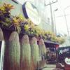 ร้านอาหาร บะหมี่ฮ่องกง