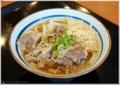 ร้านอาหาร Marugame Seimen (มารุกาเมะ เซเมง) Rain Hill