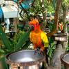 ร้านอาหาร ร้านยายเต็ม