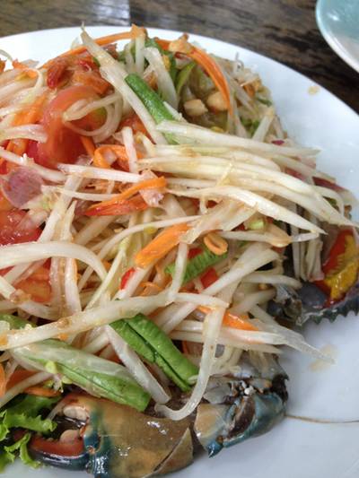 ร้านอาหาร ต้นไทร