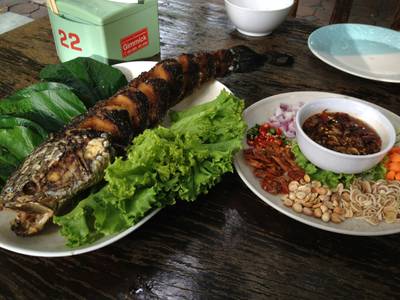 ร้านอาหาร ต้นไทร