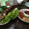 ร้านอาหาร ต้นไทร