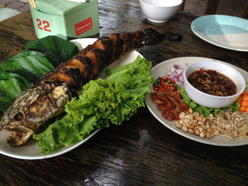 ร้านอาหาร ต้นไทร