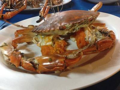 ปูนึ่ง ครึ่งกิโล ที่ ร้านอาหาร อบอร่อย