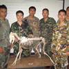Tung_k9