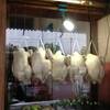 ร้านอาหาร ร้านออมข้าวมันไก่ตอน