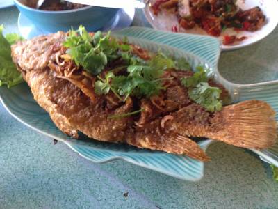 ร้านอาหาร ครัวริมคลอง