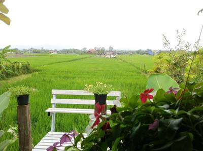 ร้านอาหาร Cafe de la Flora ดอกไม้ ปลายนา กาแฟ