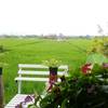 ร้านอาหาร Cafe de la Flora ดอกไม้ ปลายนา กาแฟ