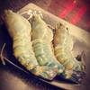 อวบอ้วน ที่ ร้านอาหาร Sumi Sumi ( อิ่มเวอร์ ) Seacon Square