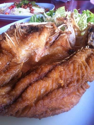 ร้านอาหาร แพทองหยอด ร้านอาหาร แพทองหยอด