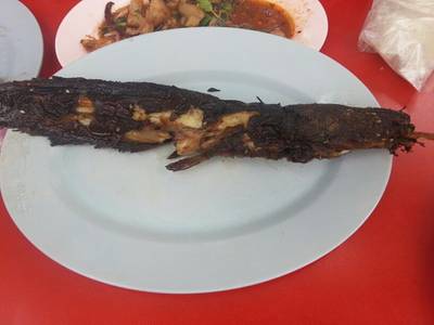 ปลาดุกย่าง ที่ ร้านอาหาร ส้มตำถนนตก