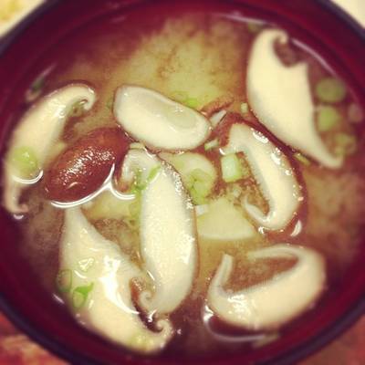 ร้านอาหาร Rengaya