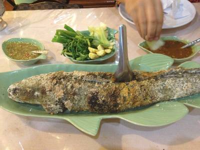 ช่อนเผาเกลือ...สดจริงๆ ที่ ร้านอาหาร ครัวบ้านสวน ช่อนเผาเกลือ...สดจริงๆ ที่ ร้านอาหาร ครัวบ้านสวน
