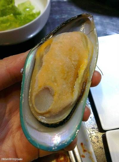 หอยแมลงภู่นิวซีแลนด์ ที่ ร้านอาหาร IYAGI (อิยากิ)