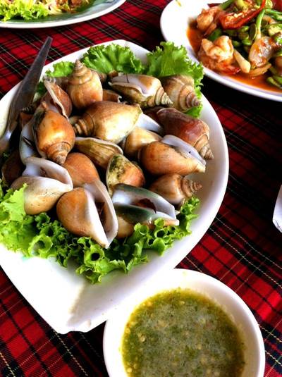 หอยชักตีนเผา ที่ ร้านอาหาร ปากน้ำซีฟู้ด