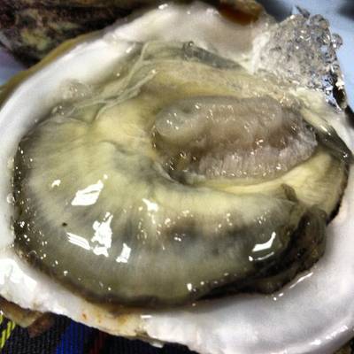 หอยนางรม สดครับ ที่ ร้านอาหาร ช่องเขา ซีฟู๊ด