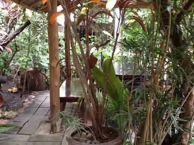 ร้านอาหาร มะขาม