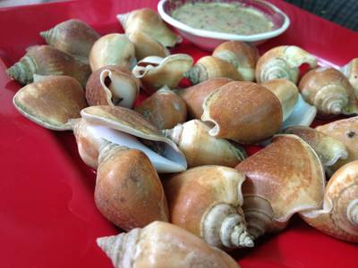 ร้านอาหาร ร้านเลตรัง2