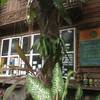 ร้านอาหาร บ้านสวนหนองแค