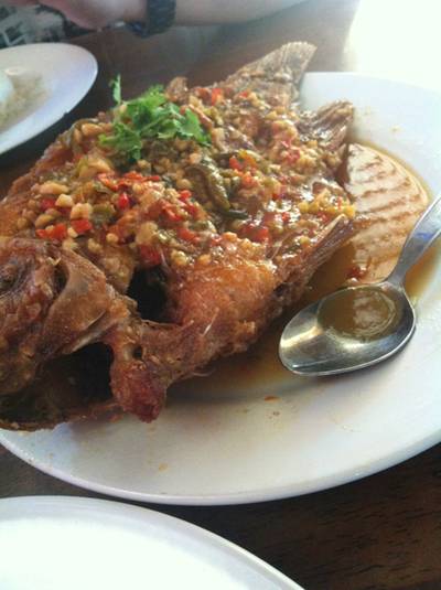 ร้านอาหาร ครัวเขาใหญ่