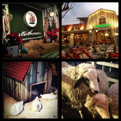 ร้านอาหาร เด็กเลี้ยงแกะ FARM & RESTAURANT