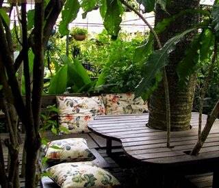 ร้านอาหาร บ้านก้ามปู ทรอปิคอล คาเฟ่