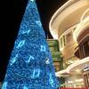 ช่วงนี้ไฟกำลังสวยเลย*-* ที่ ร้านอาหาร Haagen-Dazs พรอมมานาด