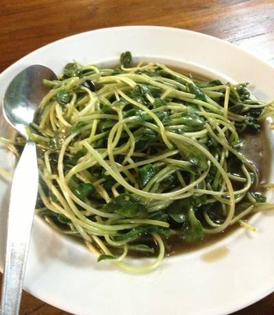 ต้นอ่อนทานตะวันผัดน้ำมันหอย ที่ ร้านอาหาร ครัวเขาใหญ่