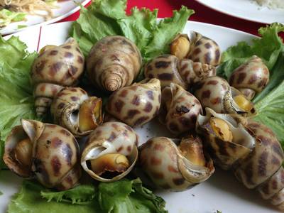 ร้านอาหาร นายหมา ร้านอาหาร นายหมา
