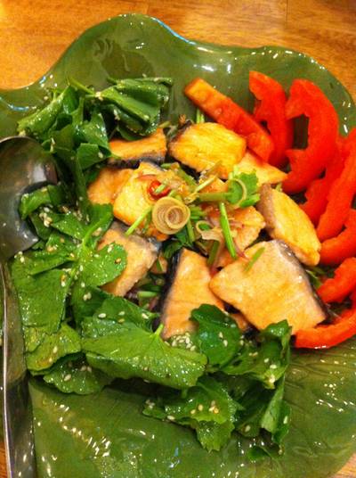 ยำแซลมอนใบบัวบก ที่ ร้านอาหาร บ้านฟ้าโปร่ง ยำแซลมอนใบบัวบก ที่ ร้านอาหาร บ้านฟ้าโปร่ง