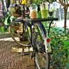 ชิว ชิว ยามบ่าย :) ที่ ร้านอาหาร Cafe de la Flora ดอกไม้ ปลายนา กาแฟ