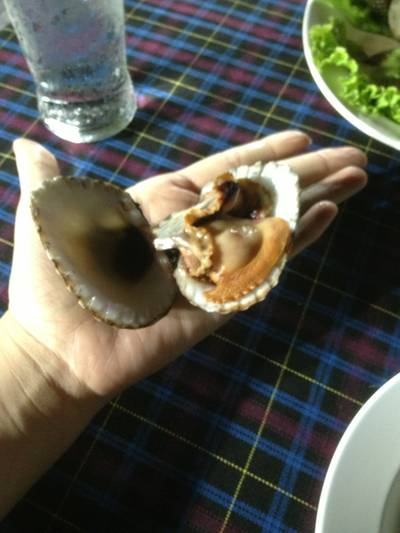 ร้านอาหาร ป่าหลาย ซีฟู๊ด ร้านอาหาร ป่าหลาย ซีฟู๊ด