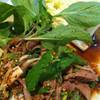 ตับหวานๆ ที่ ร้านอาหาร จัดจ้าน ไก่บ้านย่างเขาสวนกวาง