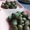 ร้านอาหาร เครื่องเส้น 