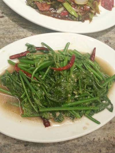 ผัดยอดมะระ อร่อย ที่ ร้านอาหาร Hongmin ฮองมิน เซ็นทรัลปิ่นเกล้า ผัดยอดมะระ อร่อย ที่ ร้านอาหาร Hongmin ฮองมิน เซ็นทรัลปิ่นเกล้า