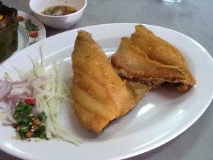 ปลาช่อนทอดน้ำปลา ที่มาแบบเนื้อแน่นๆ ไร้กางตำคอ  ที่ ร้านอาหาร ติ๊กโภชนา