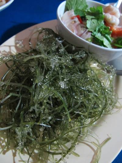 ร้านอาหาร หมอมูดง