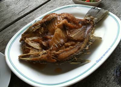 ปลากระพงทอดน้ำปลา เมนูยอดฮิต ที่ ร้านอาหาร เจ๊จุก 2