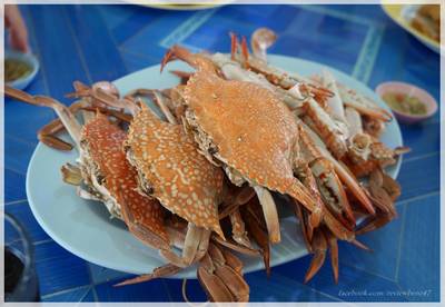 ร้านอาหาร สังเวียน ซีฟู๊ด