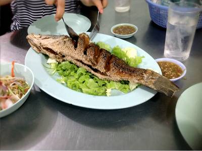 ร้านอาหาร สวนอาหารริมน้ำ