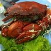 ร้านอาหาร อาเหมย กุ้งอบวุ้นเส้น
