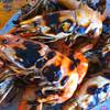 กุ้งเผา ที่ ร้านอาหาร บัญเอิญรวย(ต้อย)