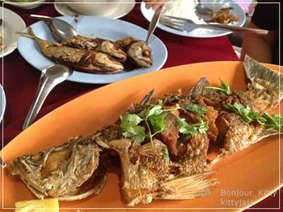 ปลากะพงทอดน้ำปลา ที่ ร้านอาหาร หมอมูดง