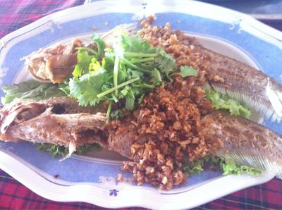ร้านอาหาร พิณทองเรือนแพกุ้งเผา