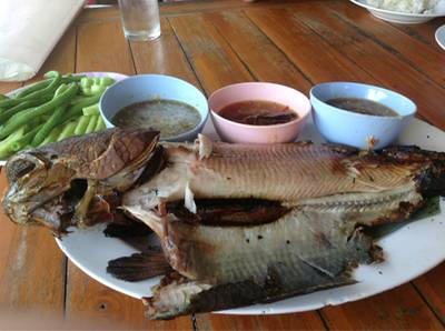 ปลาช่อนเผาอบฟาง ที่ ร้านอาหาร ครัวทองแดง ปลาช่อนเผาอบฟาง ที่ ร้านอาหาร ครัวทองแดง