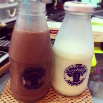 ร้านอาหาร Hokkaido Milk Terminal 21