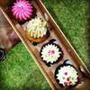 ร้านอาหาร Cupcake Love Terminal 21