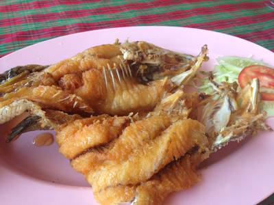 ปลากระพงทอดน้ำปลา ที่ ร้านอาหาร บ้านไม้ริมน้ำ