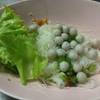  เริ่มด้วยเเห้งเสมอ ที่ ร้านอาหาร อ๋องทิพย์รส สาขา 2